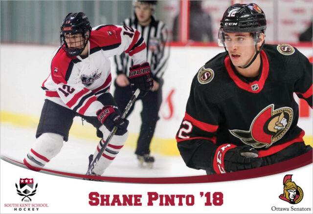 shane-pinto-senators